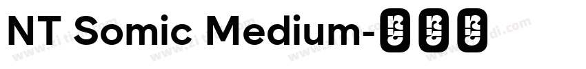 NT Somic Medium字体转换